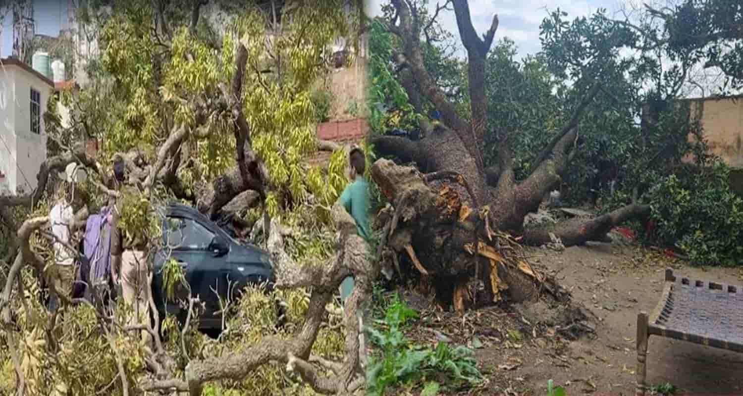 Storm wreaks havoc in himachal tree falls on two year old innocent child una himachal pradesh