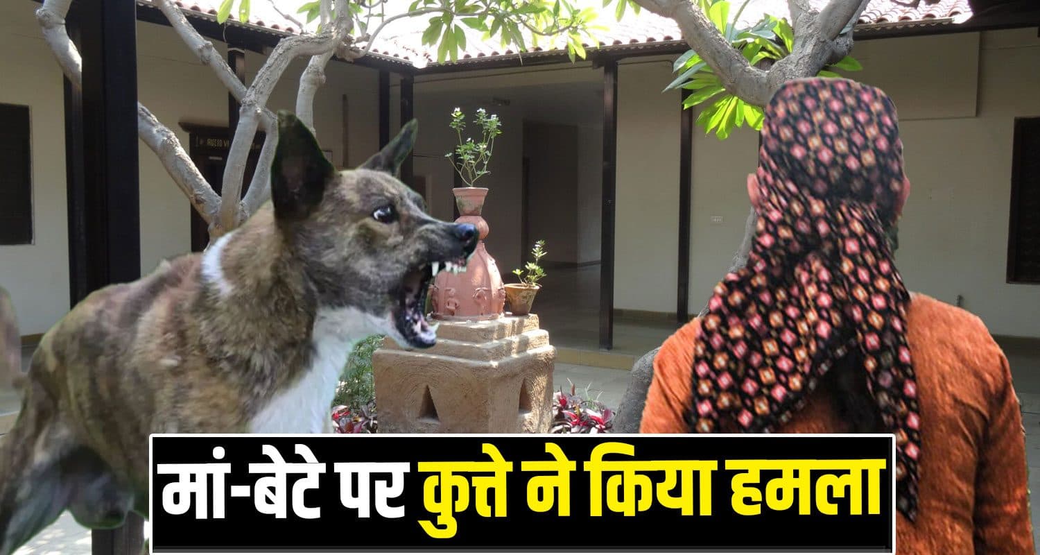 Himachal Mother Son Stray Dog Hamirpur