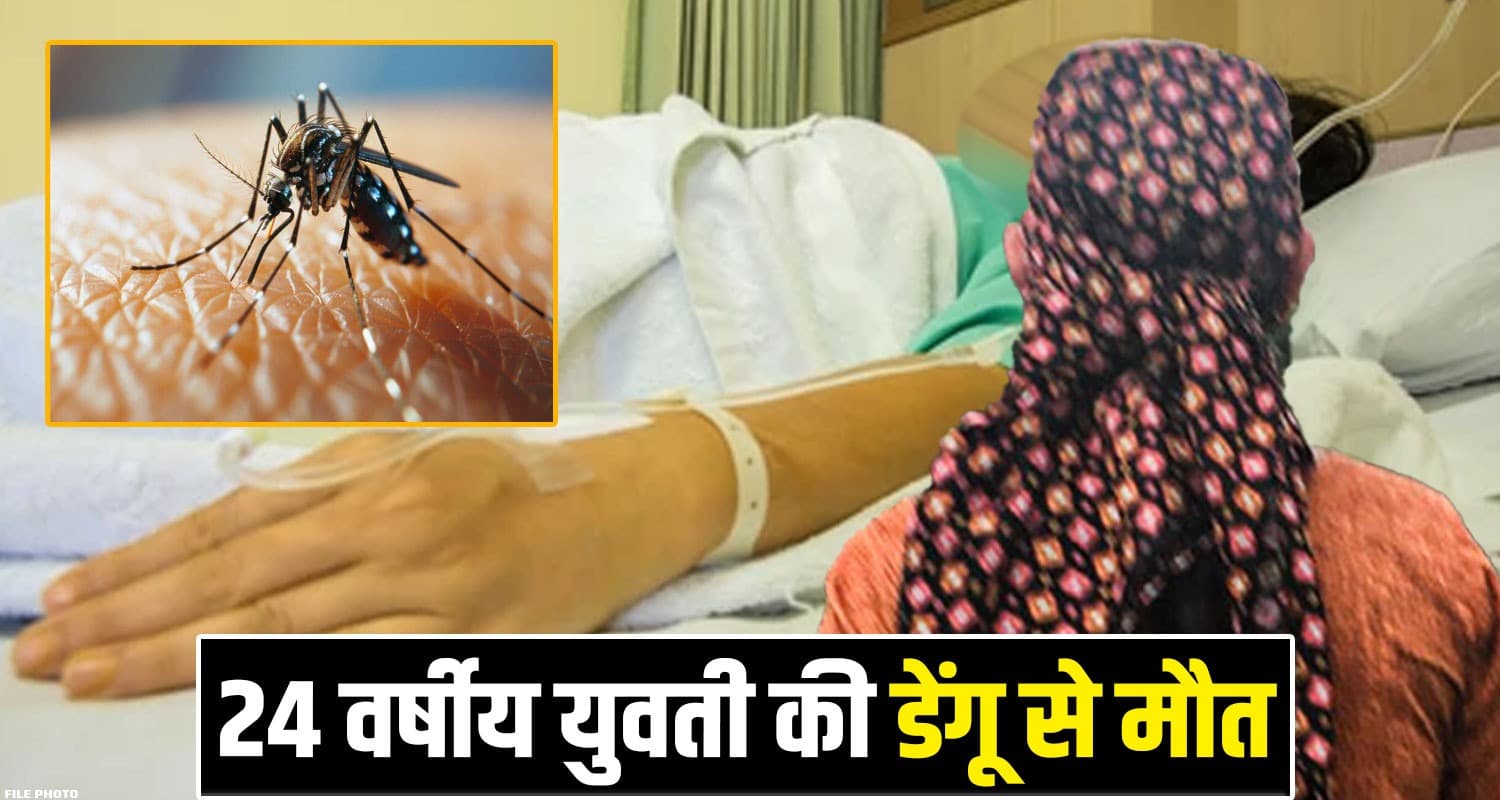 Dengue Himachal Una