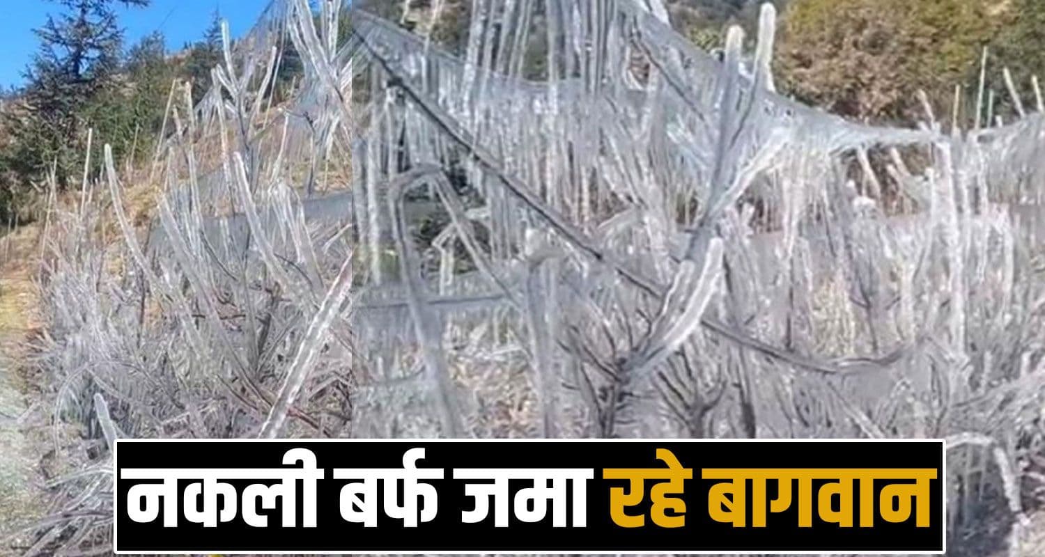 Apple Farming Chilling Hours