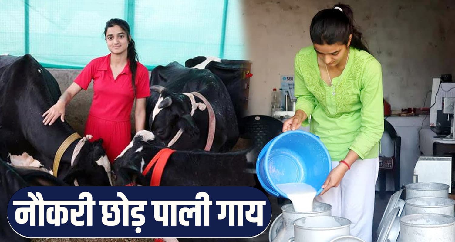 SAKEENA THAKUR MANDI