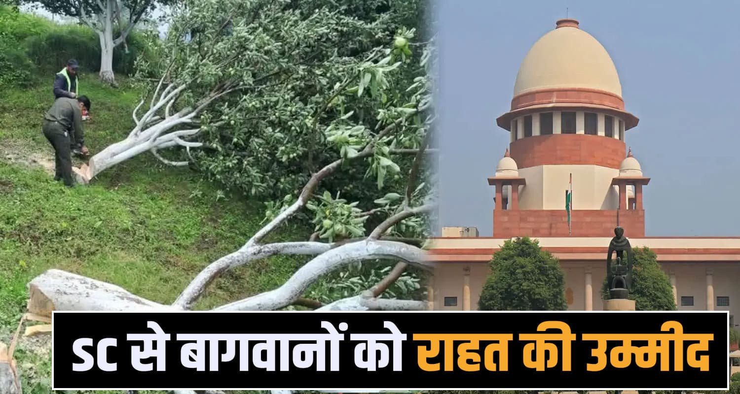 supreme court