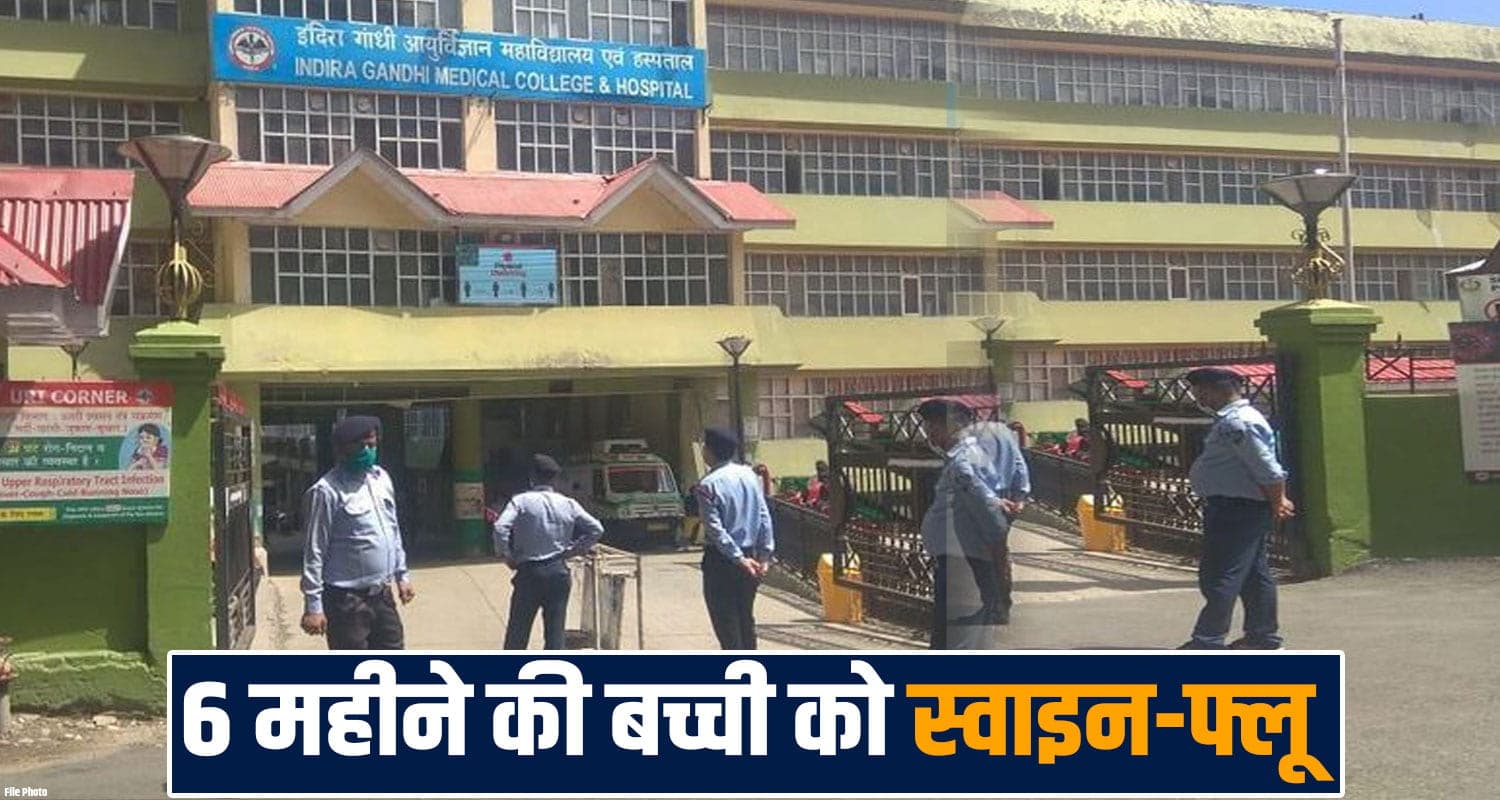 swine flu h1n1 case igmc shimla symptoms prevention viral infection himachal