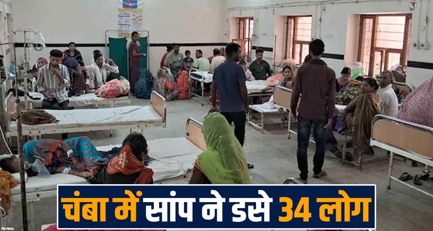 chamba-snake-cases-34-people-hospital-treatment-himachal-monsoon
