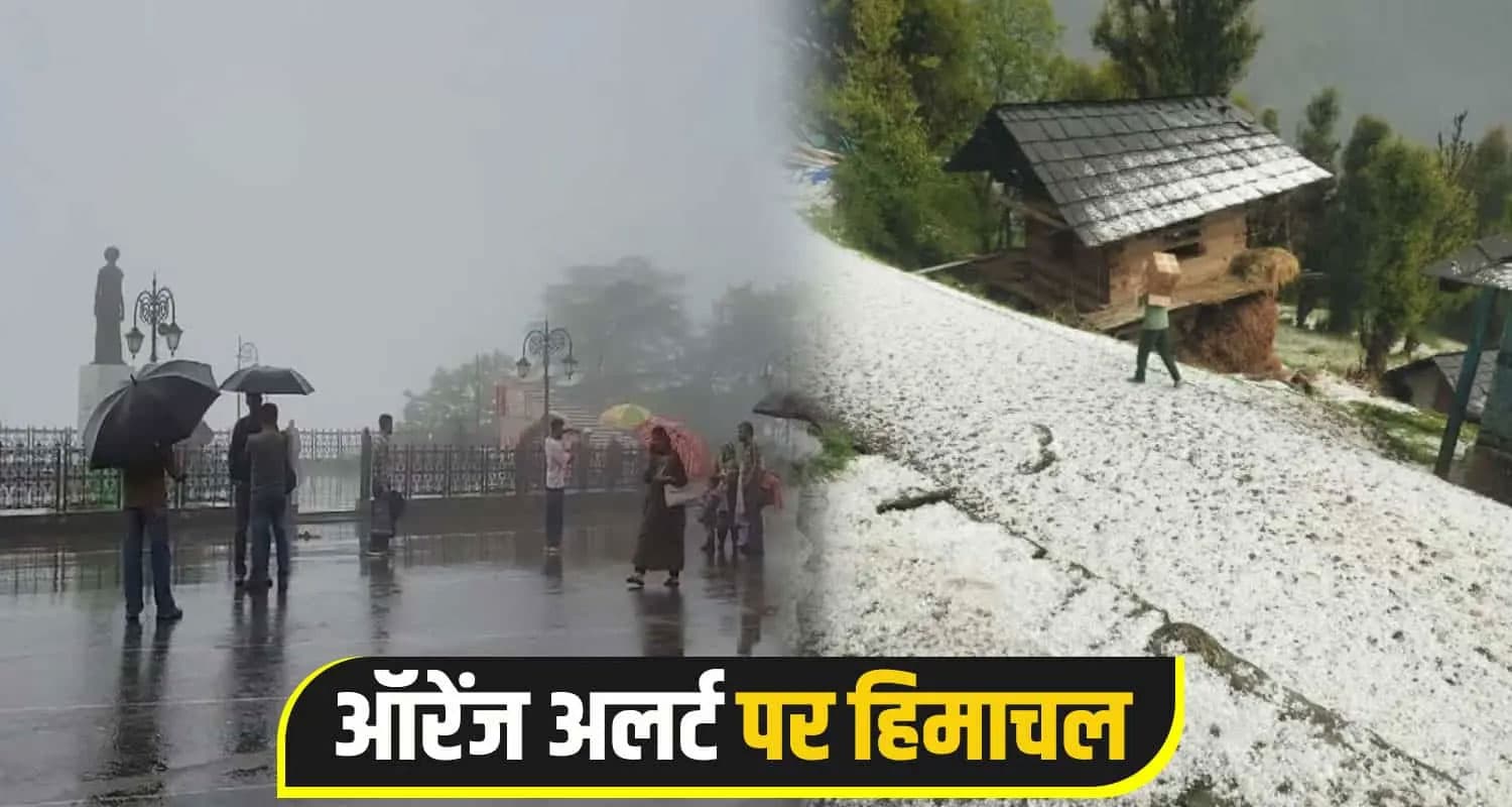 himachal news 