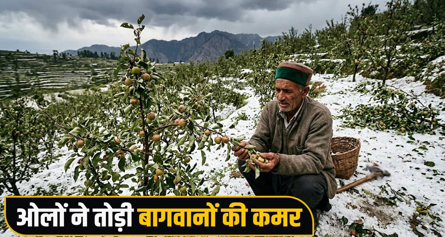 Himachal Weather Alert