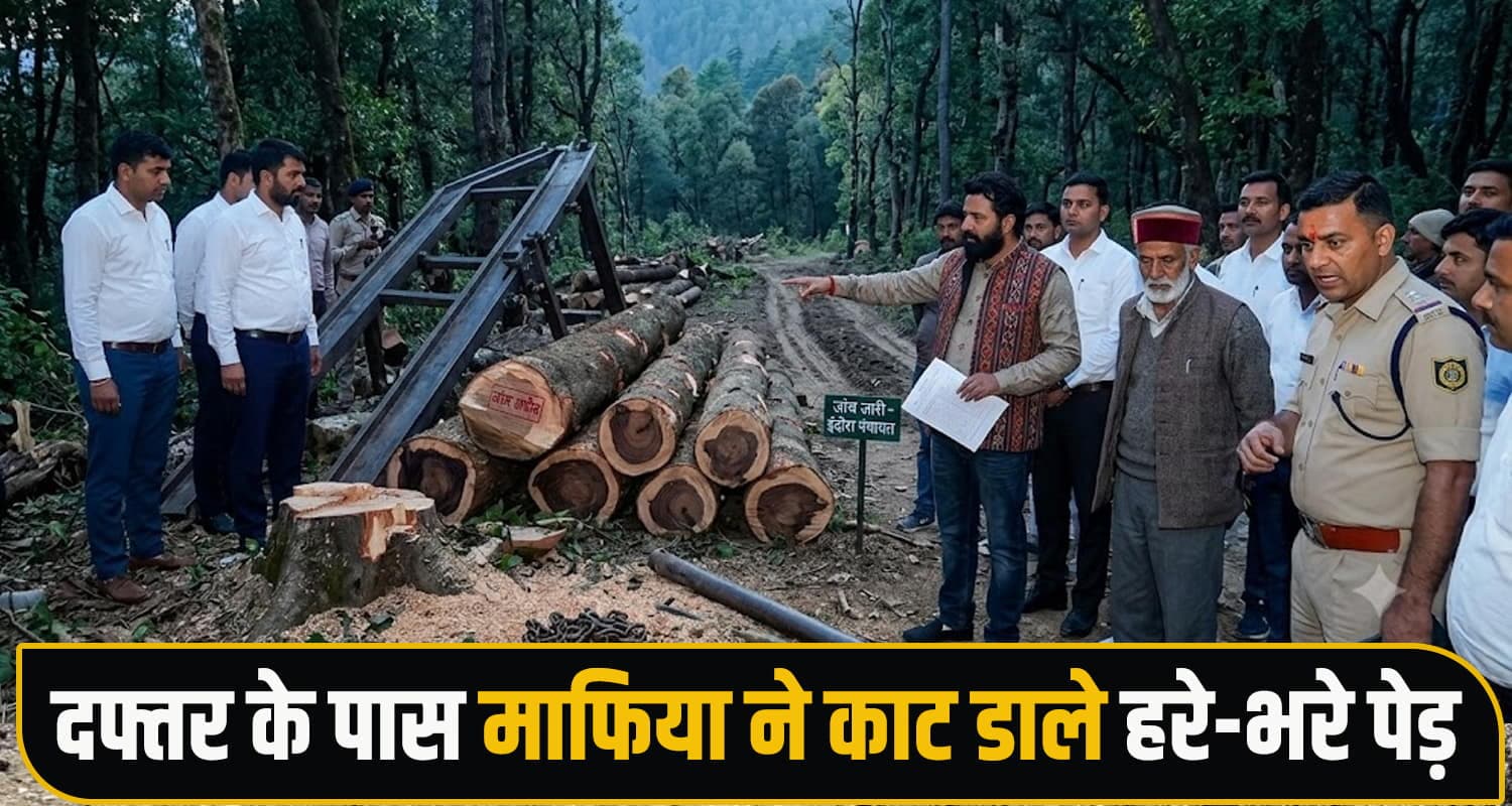 Himachal Forest Mafia