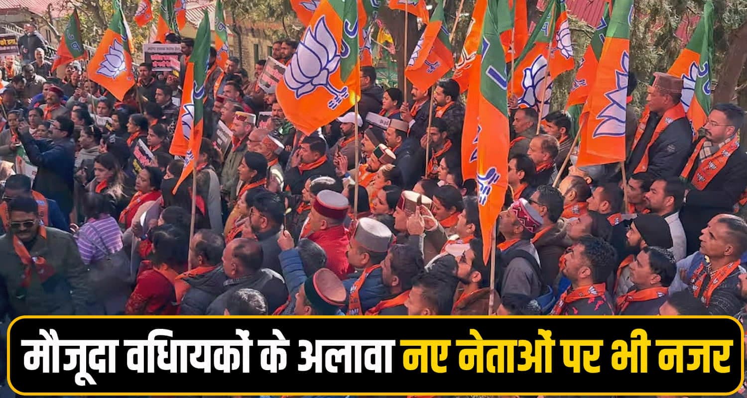 Himachal BJP Candidate Survey