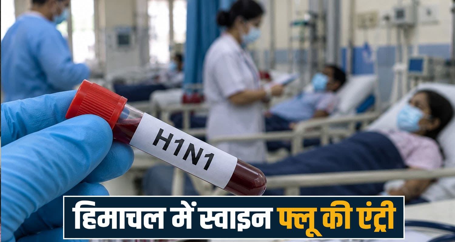 Swine flu h1n1 tanda medical college kangra cases himachal hospital