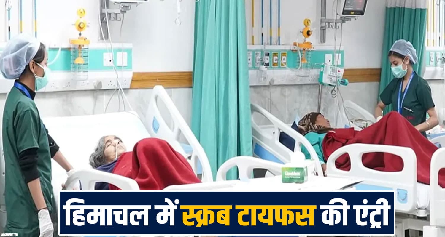 हिमाचल में पहले डायरिया...अब फैल रही एक और गंभीर बीमारी-स्वास्थ्य विभाग में हड़कंप himachal-scrub-typhus-cases-rise-in-kullu-sainj-health-department-alert