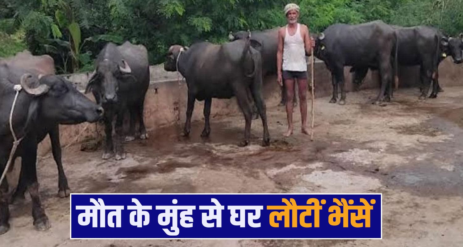 Markanda Flash Flood