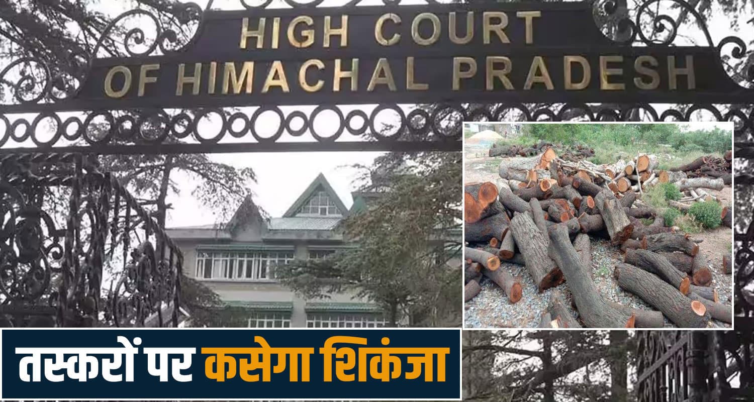 himachal high court