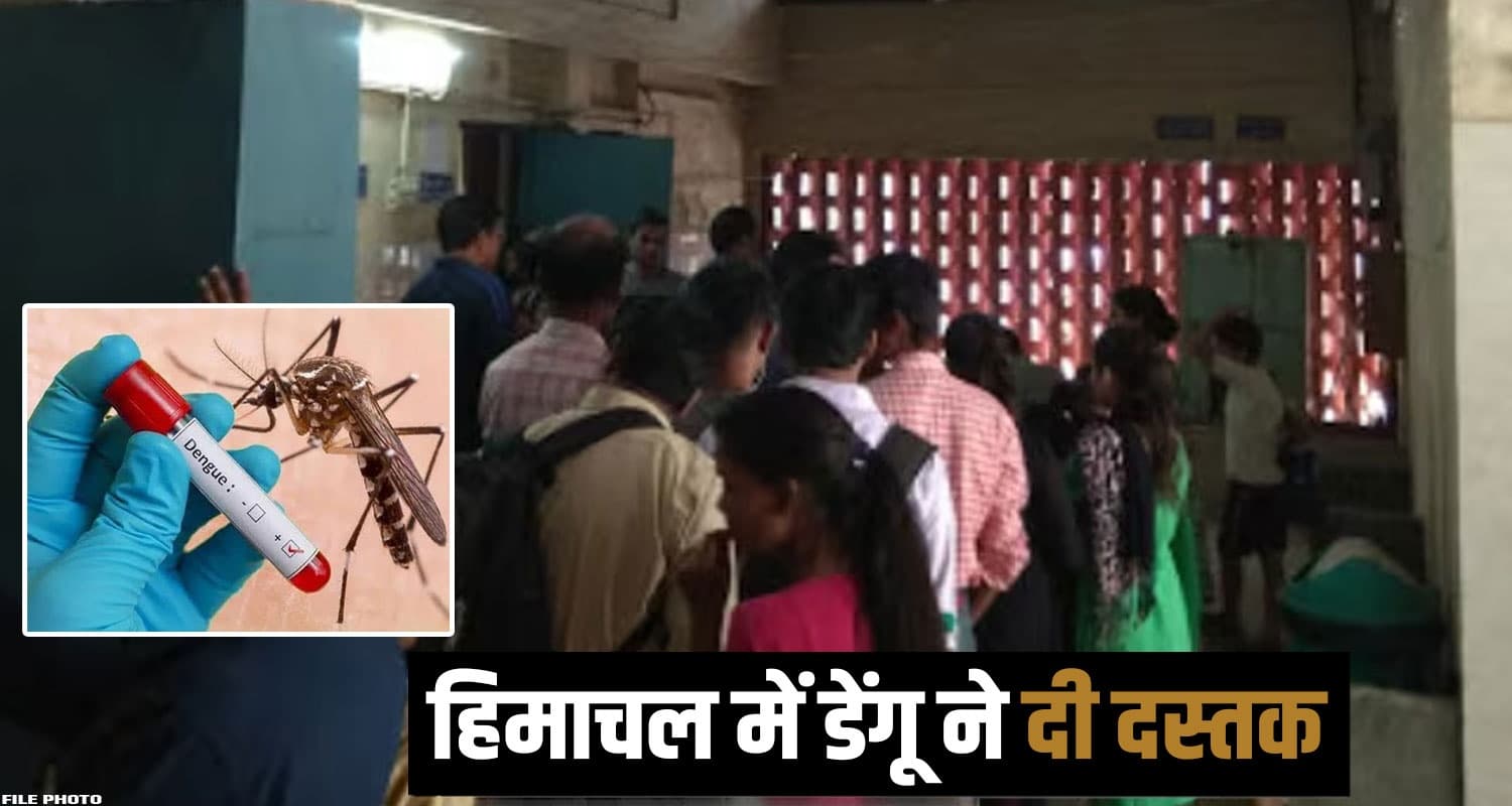  Himachal Dengue Cases