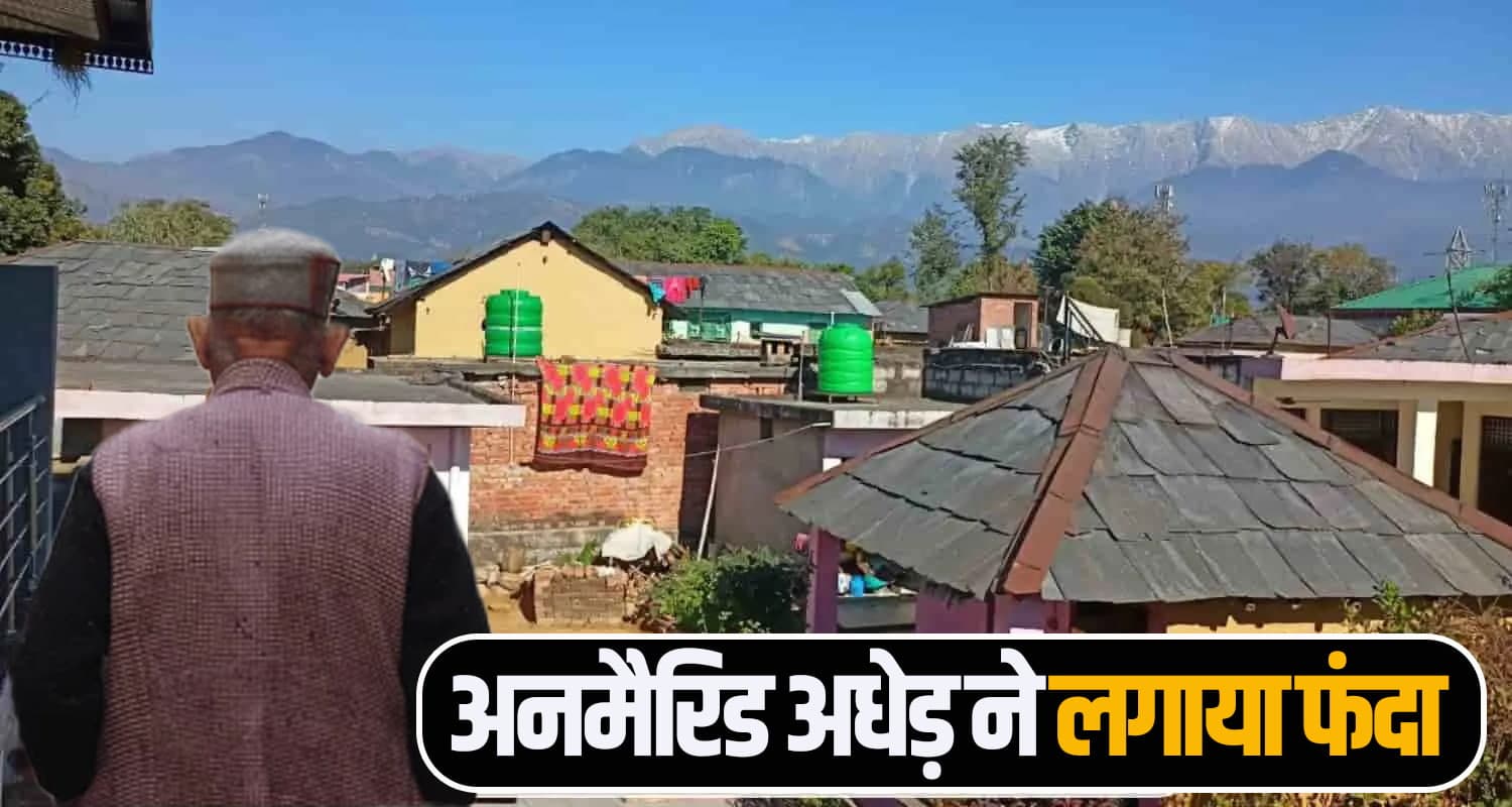himachal news