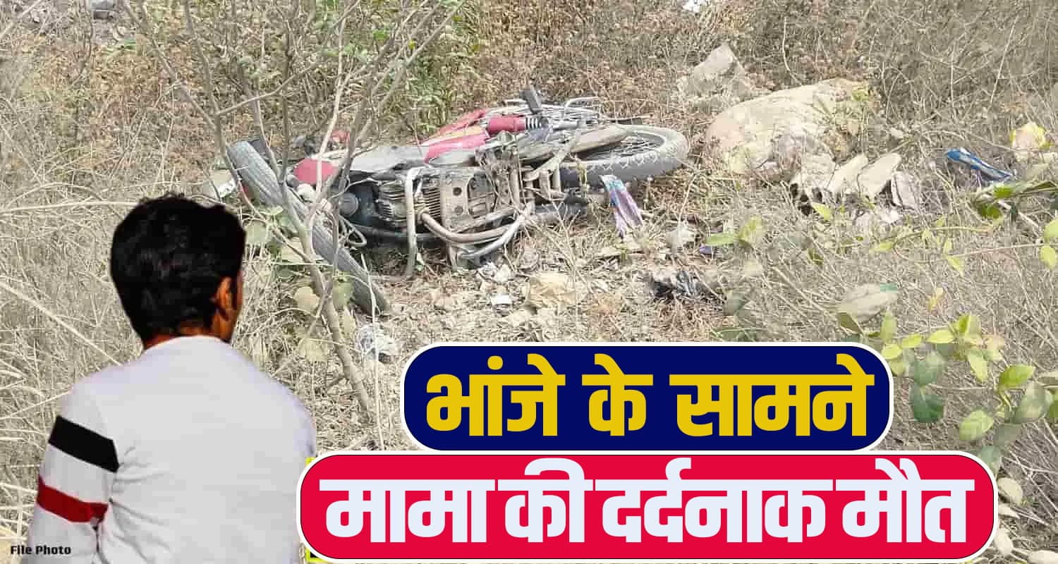 himachal news