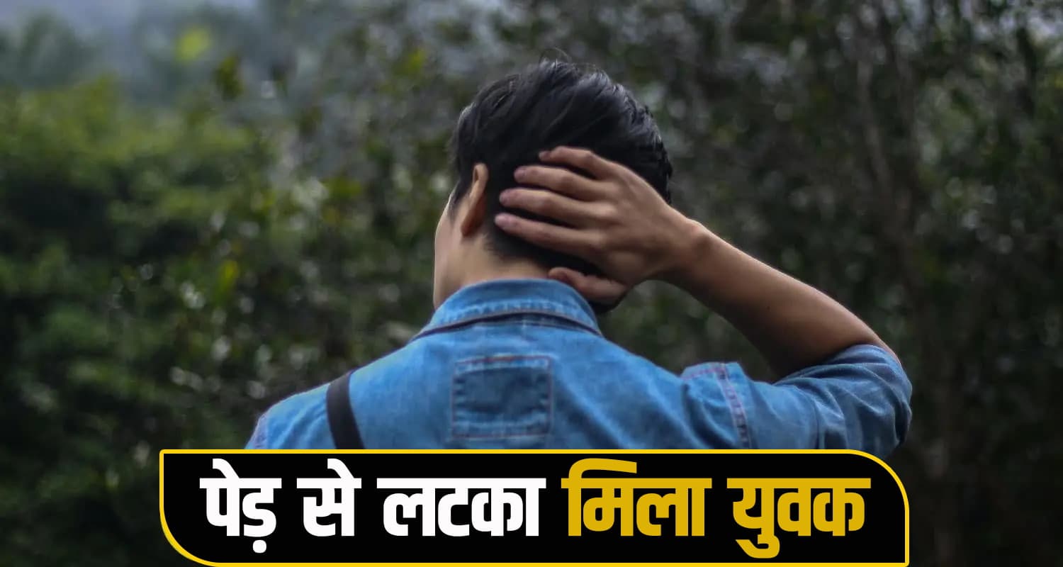 himachal news