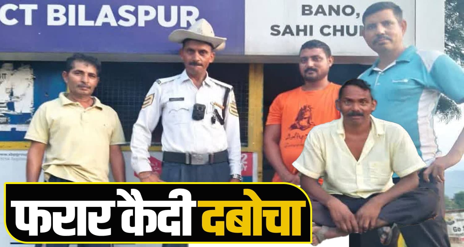 himachal news