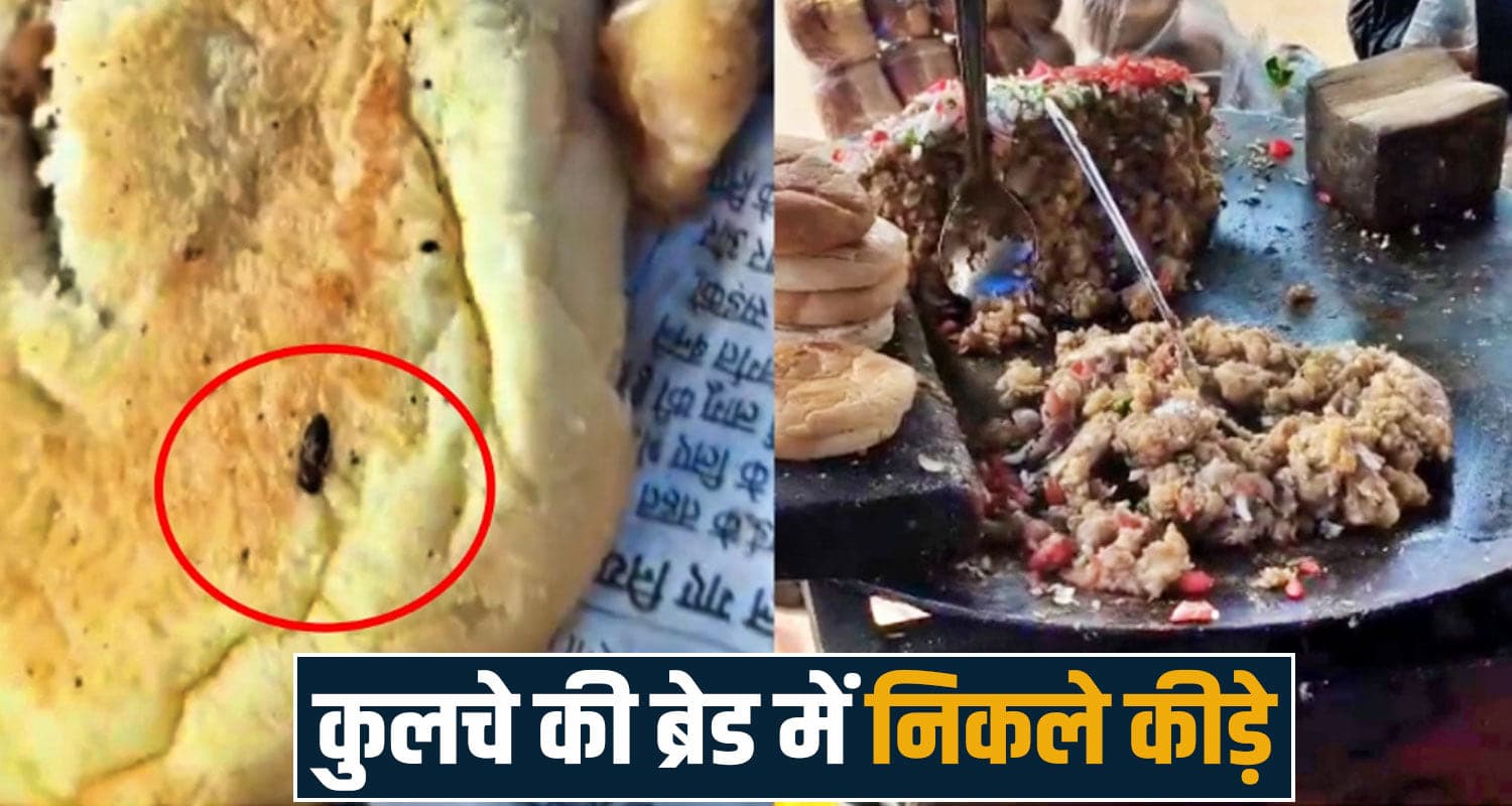 chole kulcha bread worms viral video nalagarh solan himachal food safety