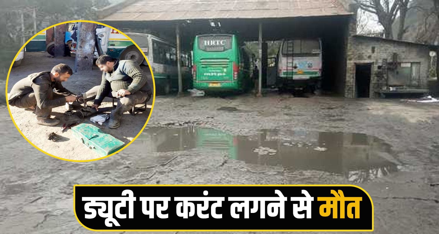 himachal news