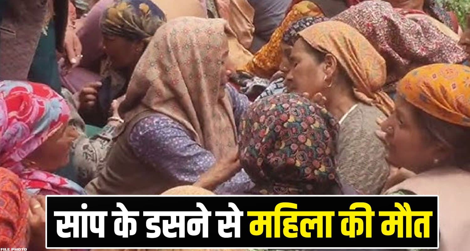 Mandi News