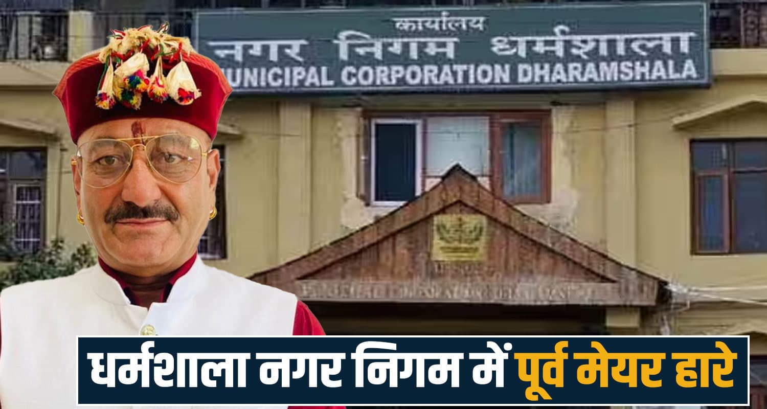 himachal news municipal election dharamshala result  ward result