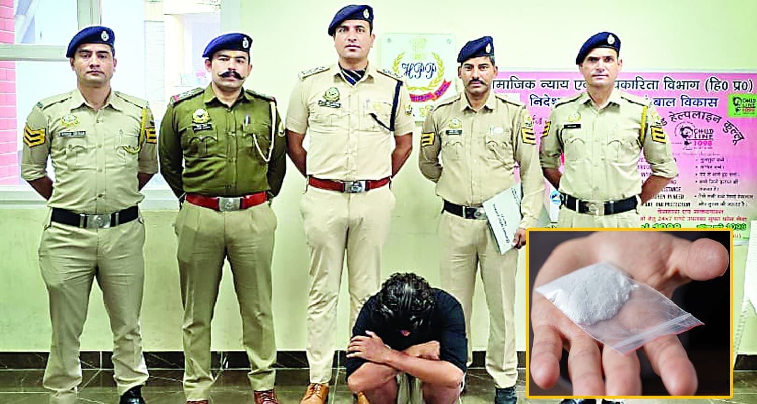 Manali Drug Bust