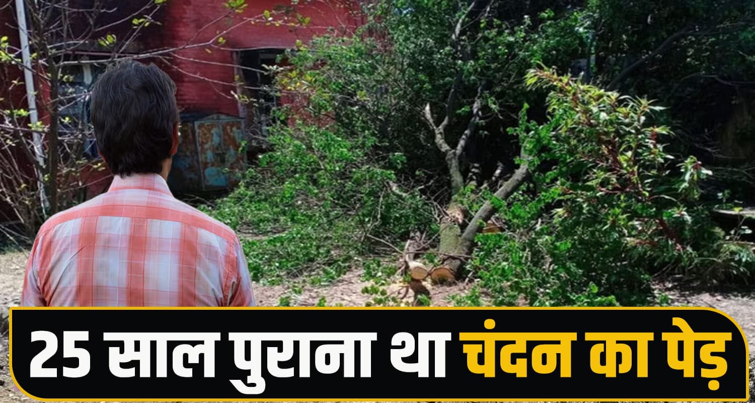 Himachal News 