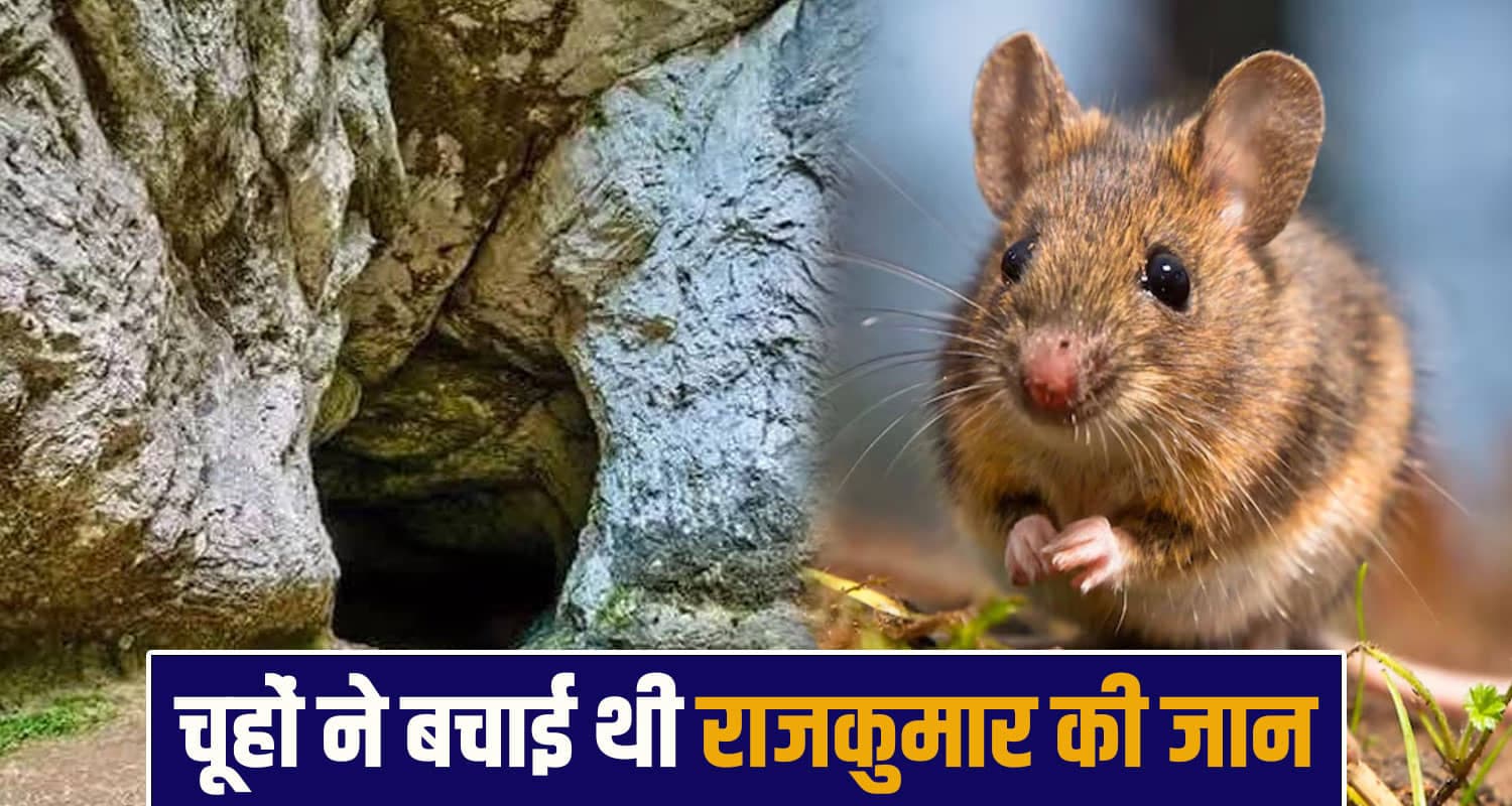 हिमाचल के इस राजकुमार की चूहों ने बचाई थी जान- मूसा गुफा आज भी देती है इस बात की गवाही Raja Musa Varman