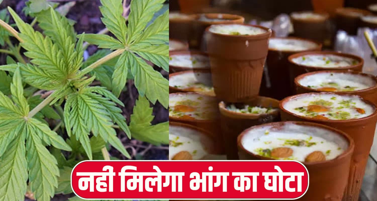 नशे पर वार! हिमाचल में भोले के बारातियों को नहीं मिलेगा घोंटा, यह खास डिश खाकर करेंगे बोल बम HIMACHAL NEWS