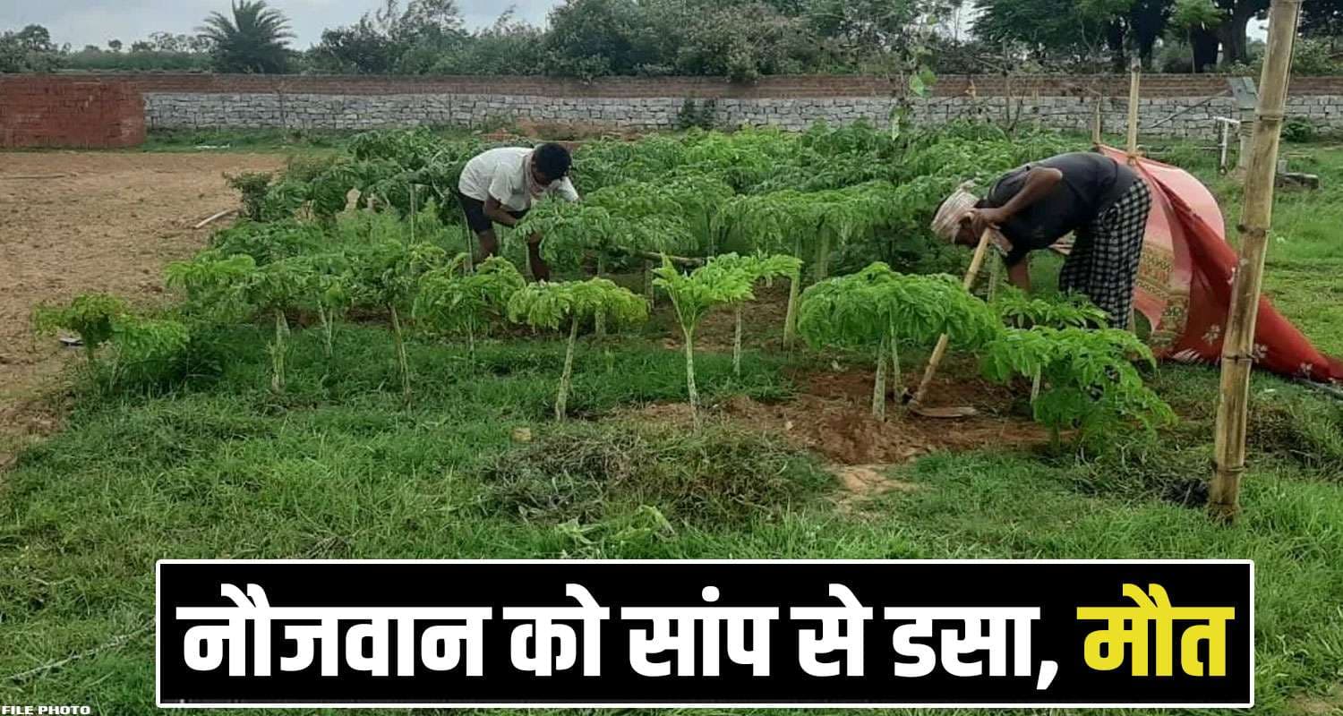 Kangra News
