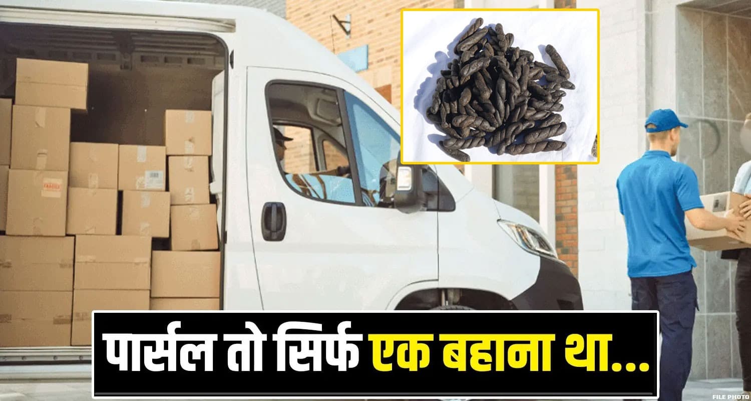 Kullu Police Charas Smugglers