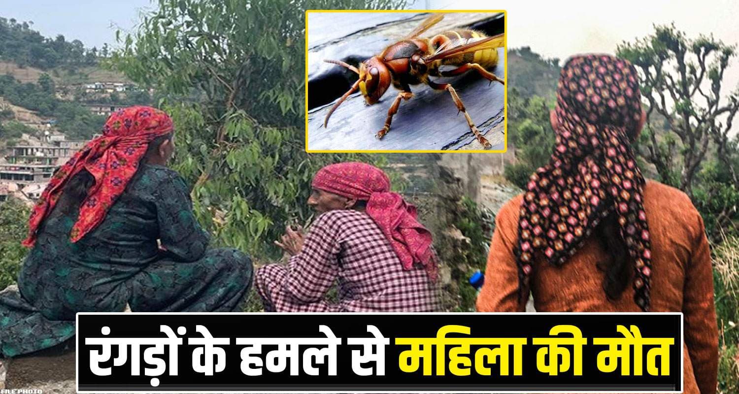 Bilaspur News