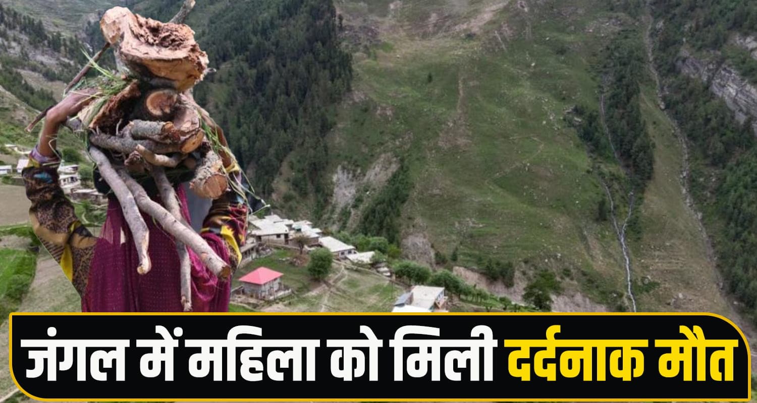  Pangi Valley News