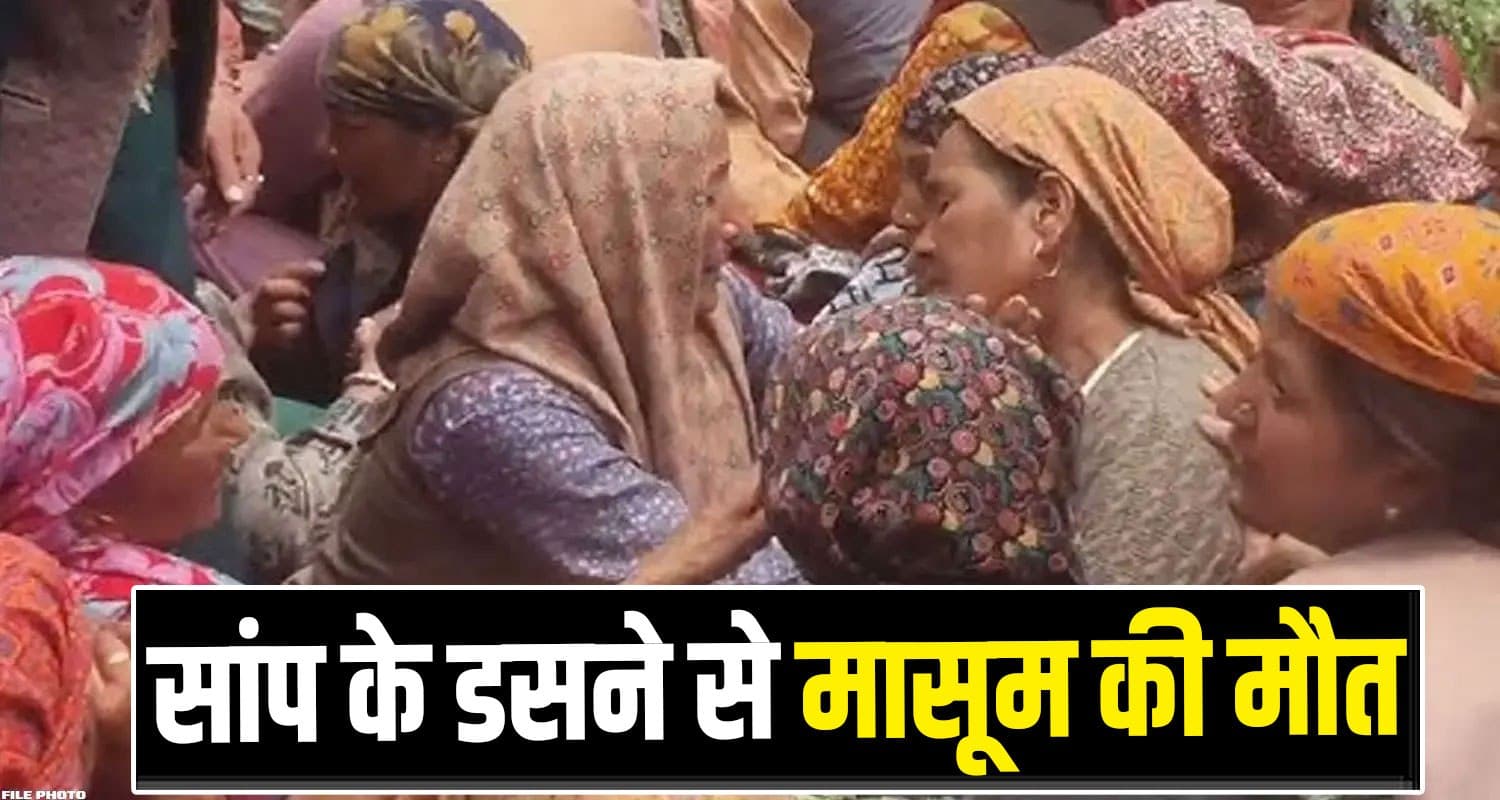 Kangra News
