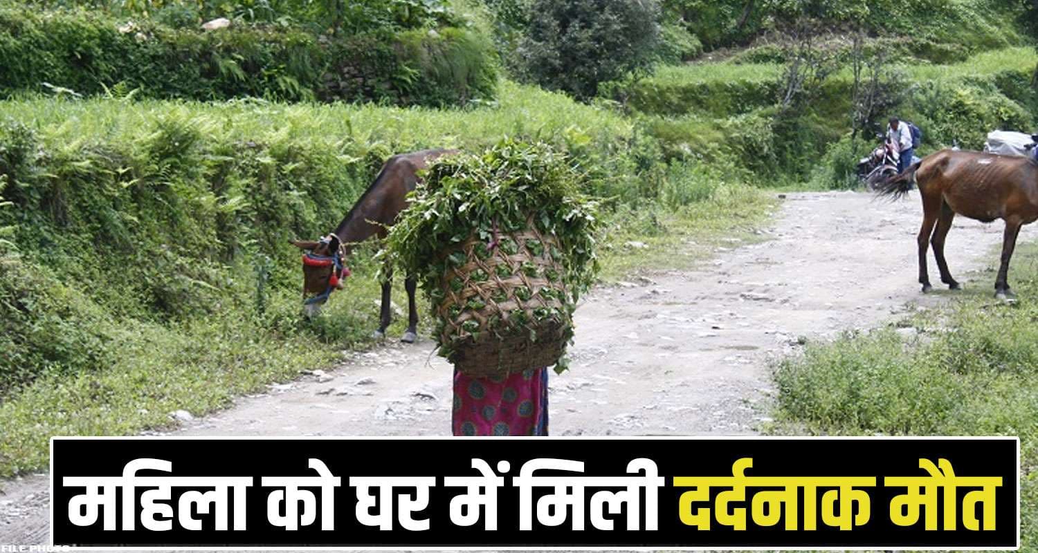 Solan News