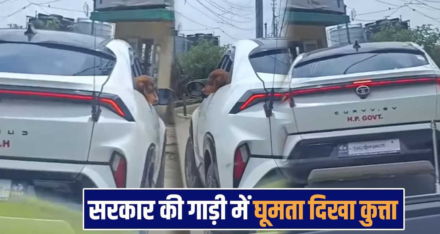 himachal viral video