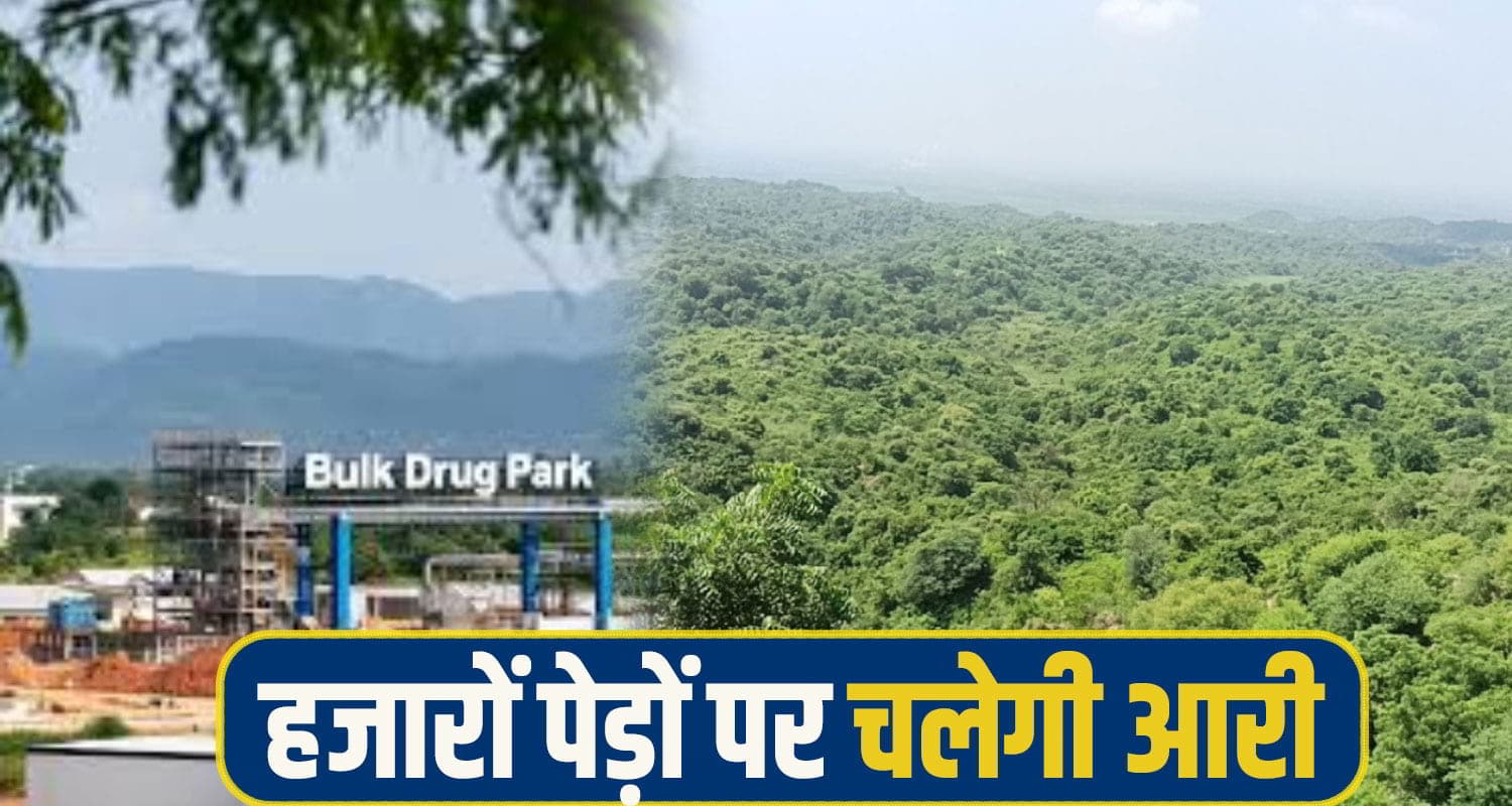 हिमाचल: बल्क ड्रग पार्क निर्माण के लिए कटेंगे 45, 600 पेड़, 35 हजार युवाओं को मिलेगा रोजगार bukd drug park tree