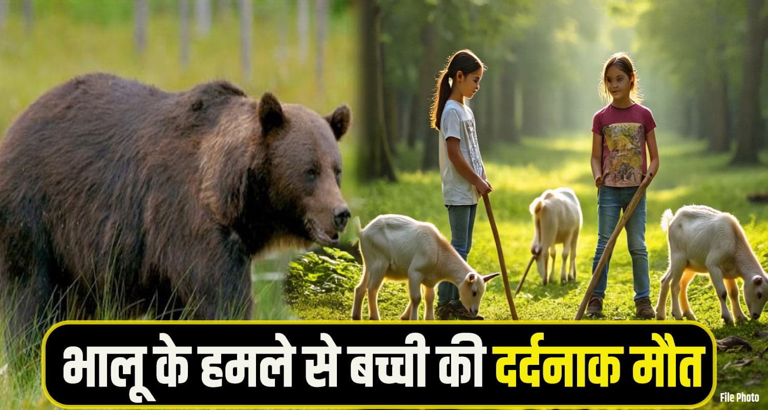 Chamba Bear Attack