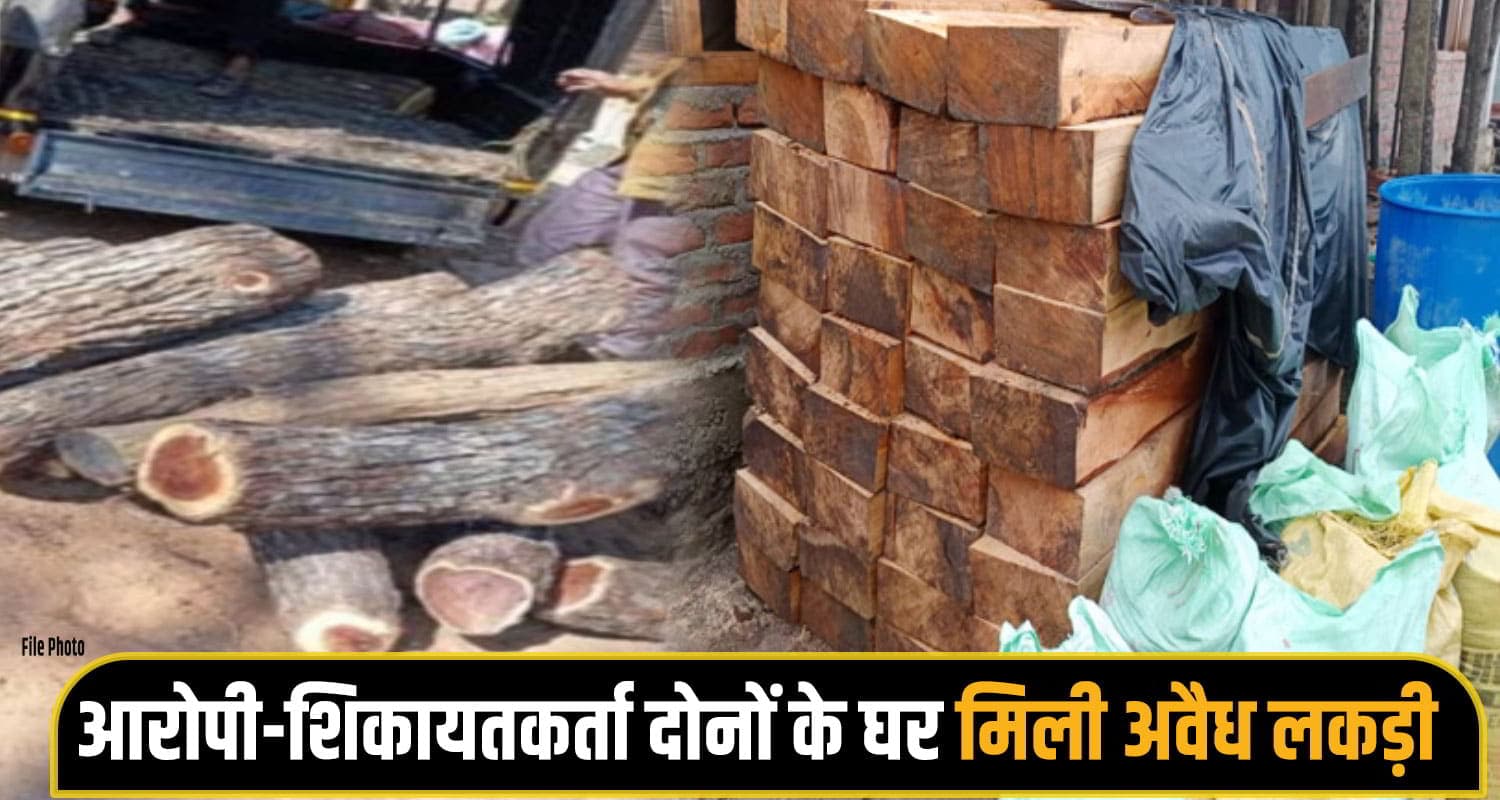 Illegal Timber Seizure