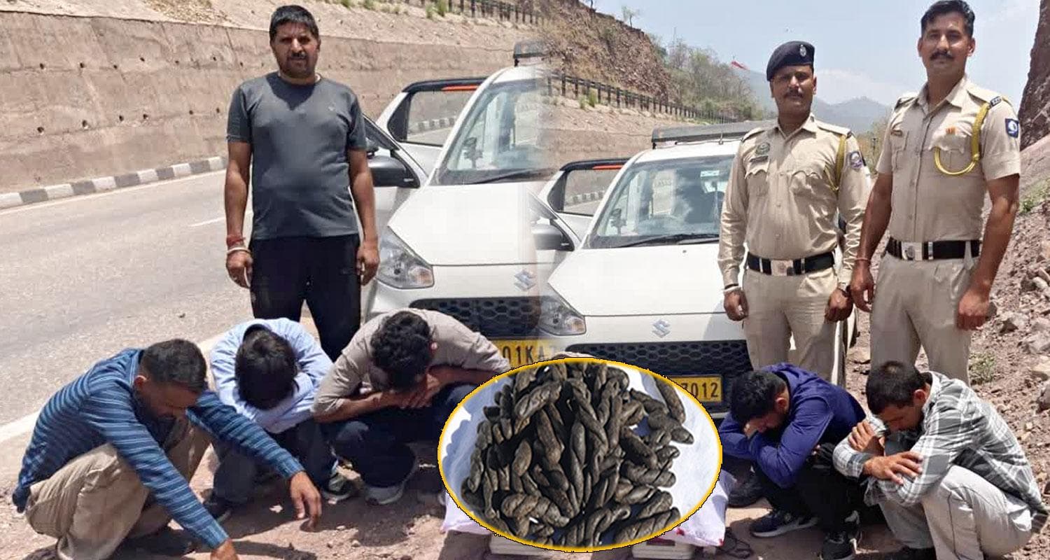 charas smugglers five boys arrested mandi punjab himachal border police panchayat election