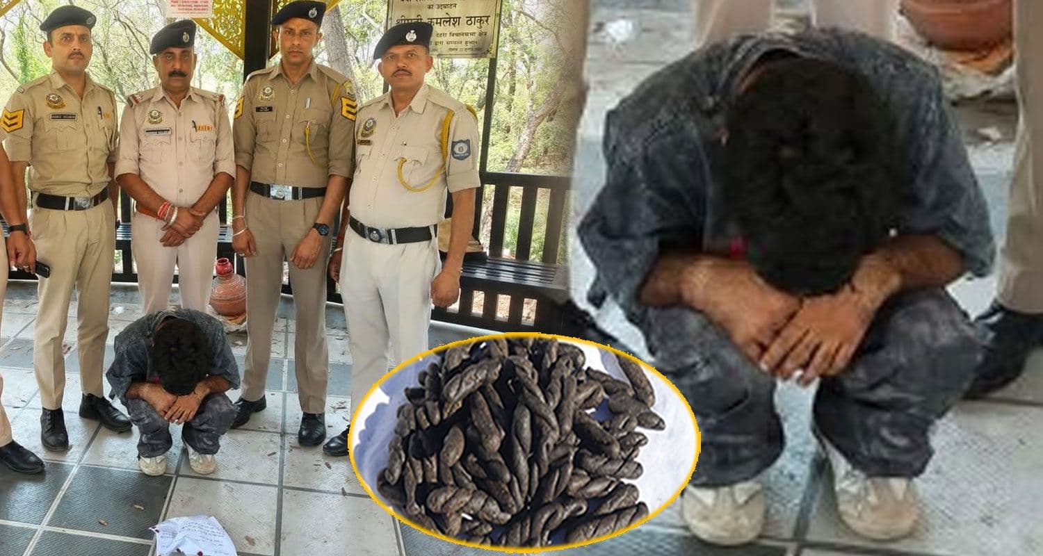 हिमाचल : नशे की बड़ी डील करने जा रहा था युवक, SP ने ढेर सारी चरस संग रंगे हाथों धरा charas smuggler dehra police himachal kangra drug free