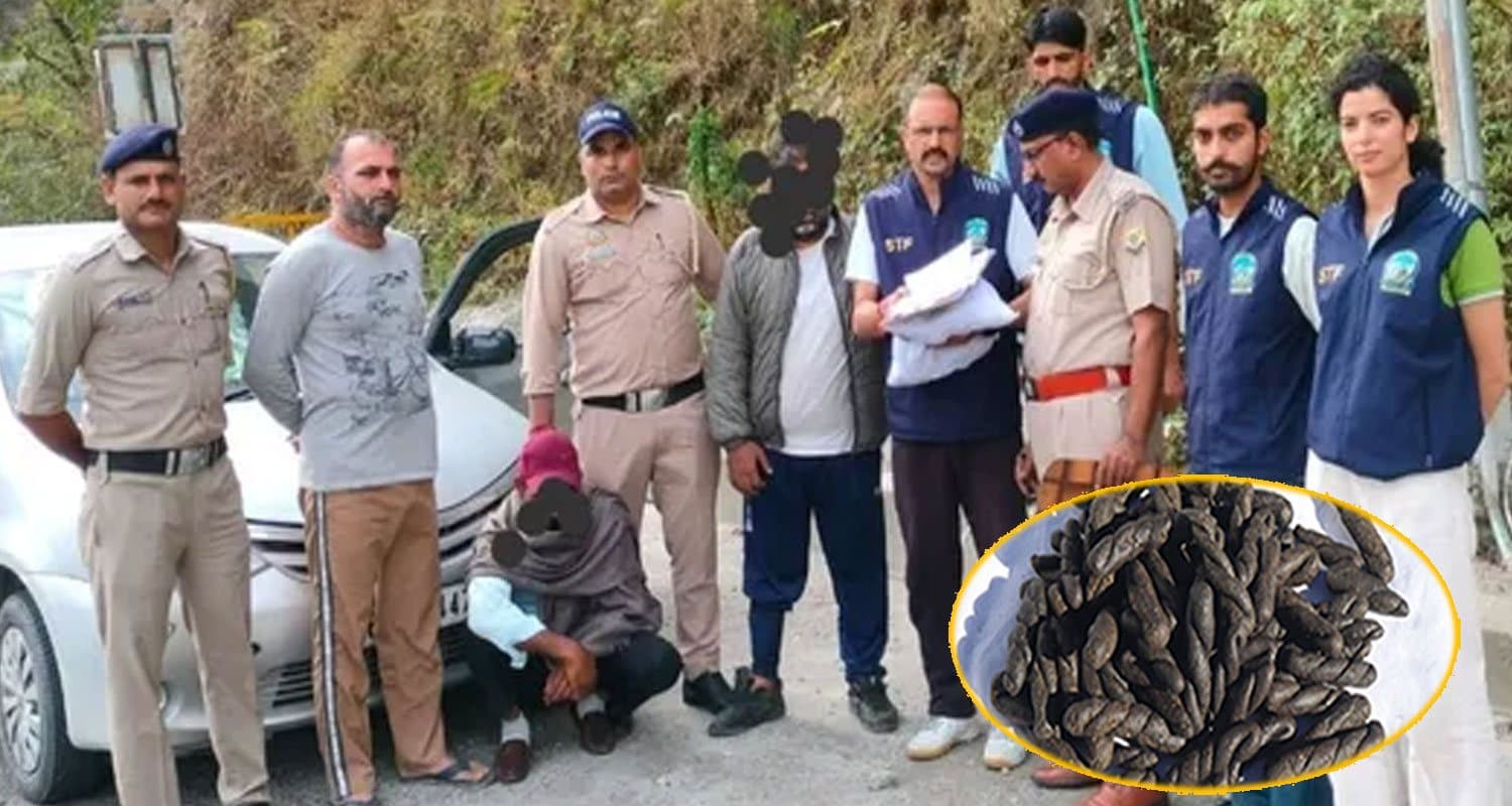 mandi police arrest two punjab men charas bindrabani himachal kullu
