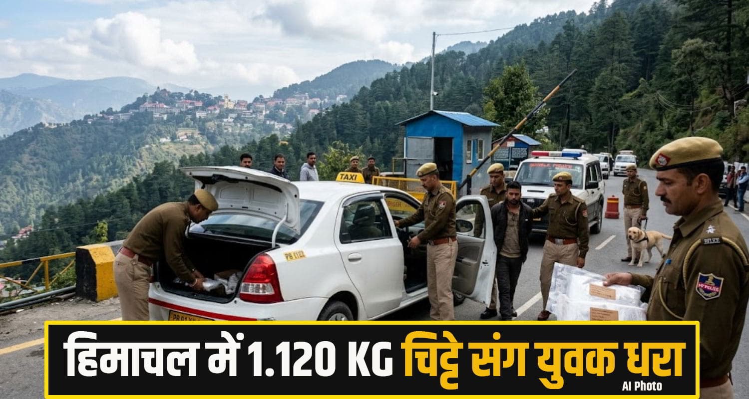 Shimla Chitta News