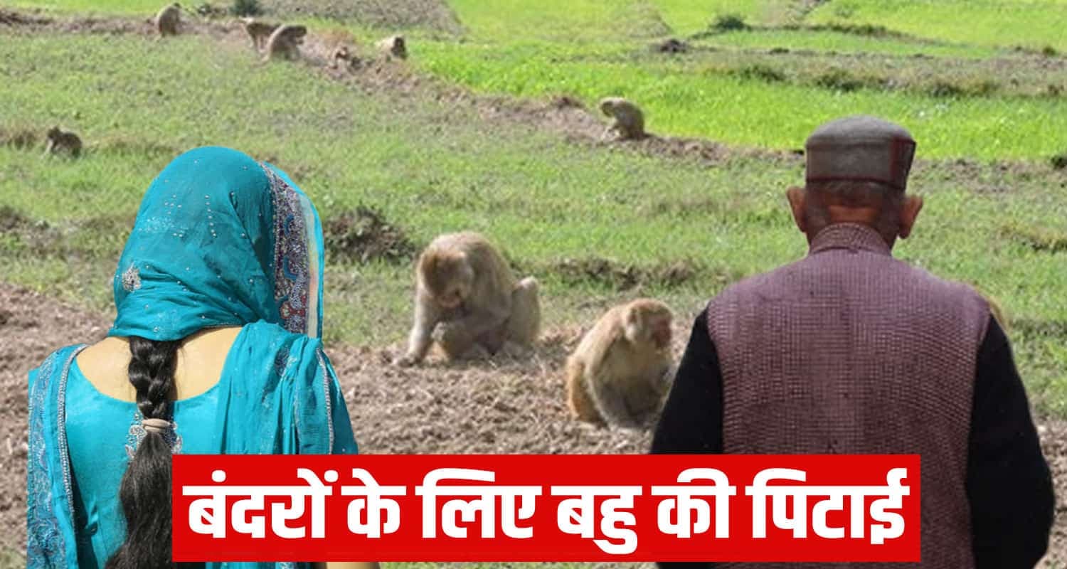 Kangra News