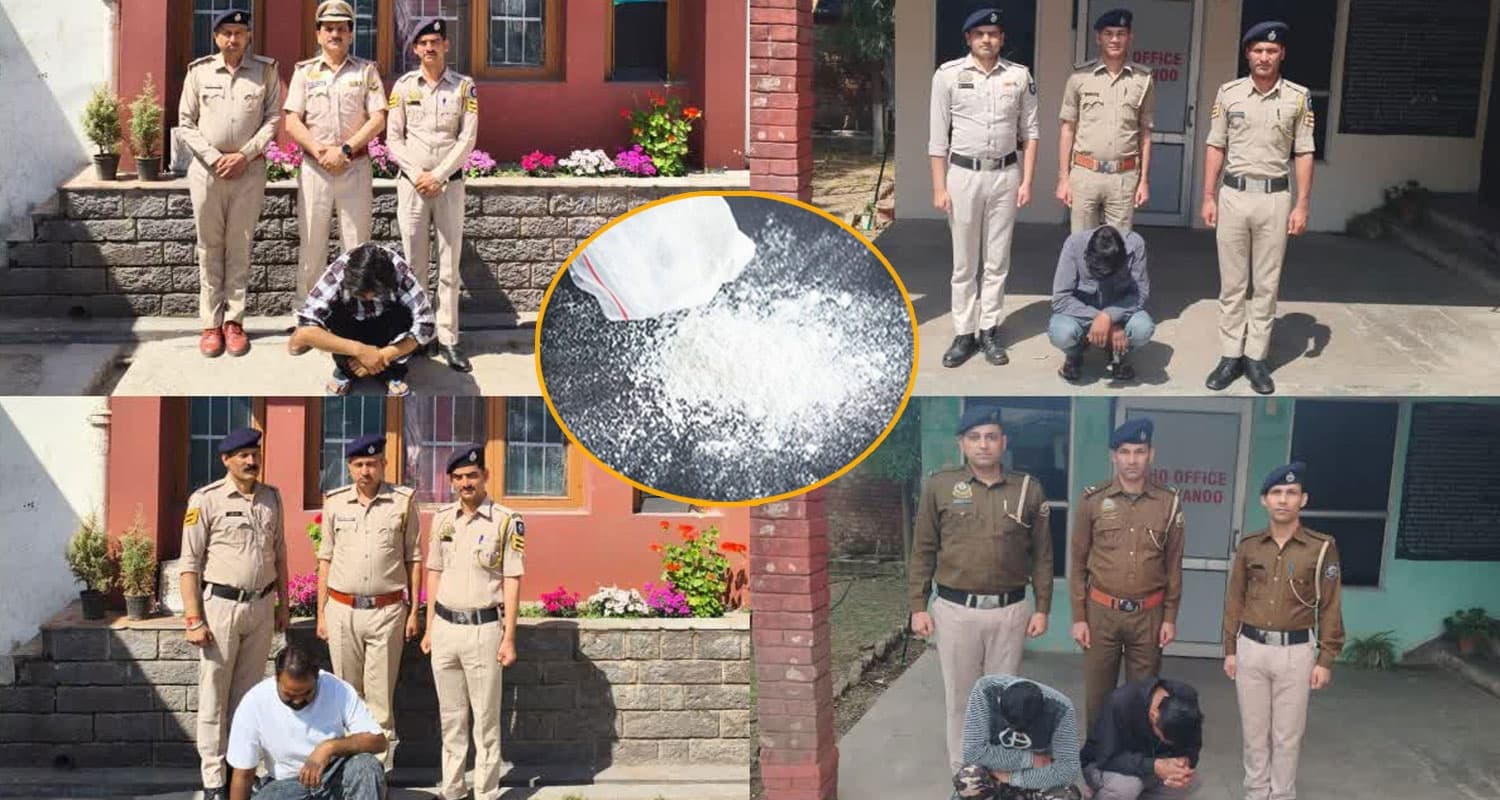 Shimla News