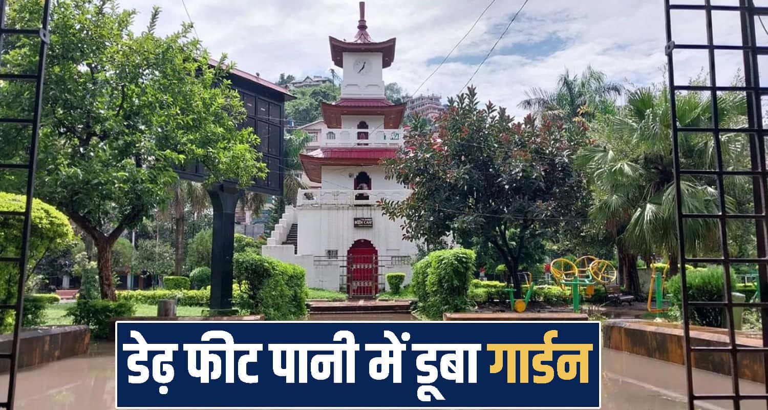 himachal mandi news