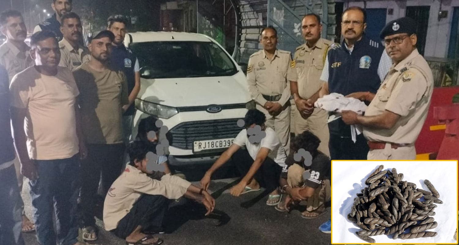 himachal  Drug Smuggler