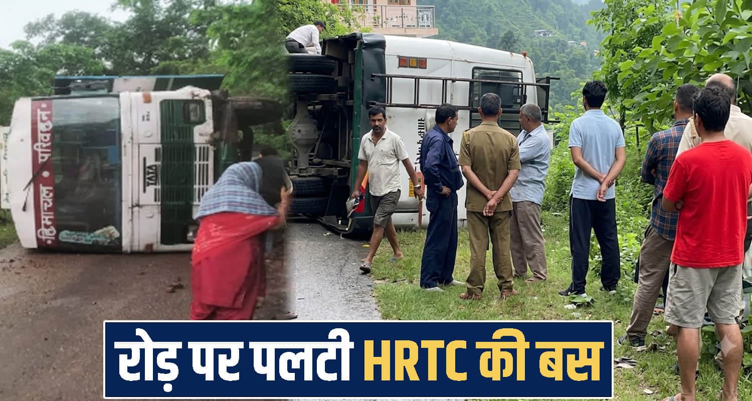 himachal mandi news 