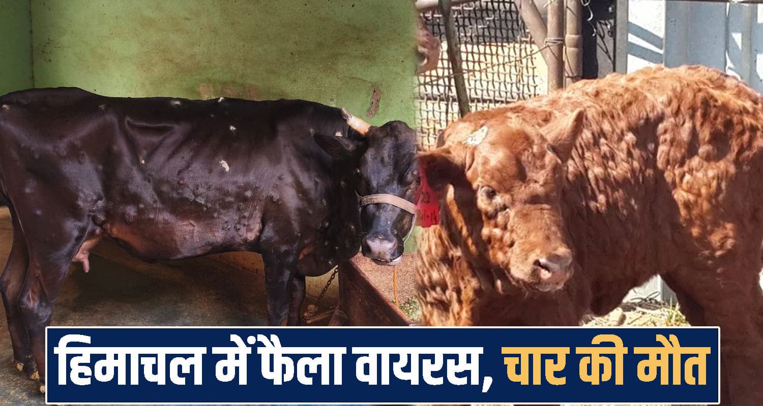 Himachal Pradesh news