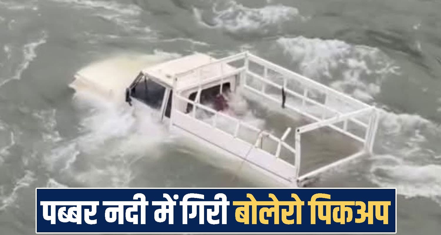 himachal shimla news 